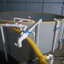 용해농장 이미지