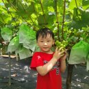 야베스 1농장 이미지