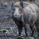 동해선신해운대역 이미지