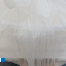 착한낙지랑산오징어 이미지