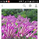 아름다운 정원을 꿈 이미지