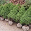 서림농장 이미지