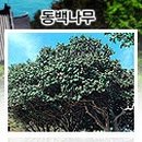 세기의세계