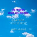 에코힐링