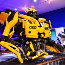 월드성인PC 이미지