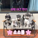 양평PC존 | 경기 양평 | 견종 제한 없는 양평 애견동반 감성 숙소, 소소몽