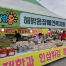 청솔임업