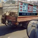대빵