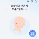 다연이네 | [임신 기록] 4-14주차 임신 초기