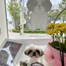 러블리펫그루밍 이미지