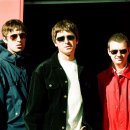 오아시스 이미지