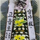 꽃파는사람들 이미지