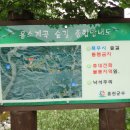 용소원 이미지