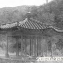 보만정지 이미지