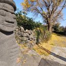 은행나무 주유소 이미지