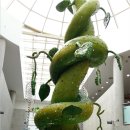 (주)제주유리의성 | 제주 서부권관광지 유리의 성 탐방후기