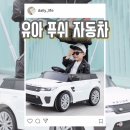 대호할인마트 - 관악구 관악로24길 14 | 대호토이즈 레인지로버 이보크 전동푸쉬카, 방풍커버까지 완벽한 야외활동 필수템