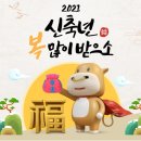 우리들한방병원 이미지