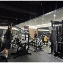 피트니스 엘 이미지