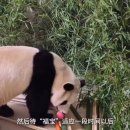 한주(아) 이미지