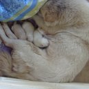 옥이농장 이미지