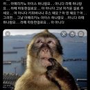 센텀뫼비우스 | 러브 제너레이션