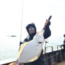 오이도연안집 | 서해 오이도 영흥도 배낚시 추천 전투호 광어다운샷 대광어낚시 확실하네요.