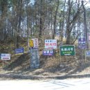 사곡1리 이미지