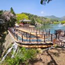 제천 문화 답사('25. 6. 17) 안내 자료 이미지