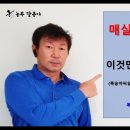 매실씨살이 좀벌 피해방지 달콩이 농장 이미지