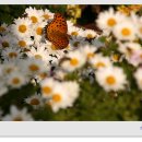 옥곡중학교 이미지