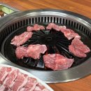 청오돼지들의세상