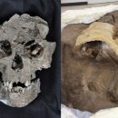 시간여행자 이미지