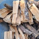 숲속애(愛)펜션 이미지