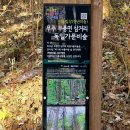 국립덕유산자연휴양림 위생복합시설 | 무주 덕유산 자연휴양림(전남 무주군 무풍면 구천동로 530-62)