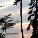 땅끝황토나라테마촌진미장터화장실 | 27th 낙조와 분수대쇼가 멋진 "황토나라테마숲속캠핑장"(전남해남)