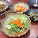 곤드레밥집 티스토리
