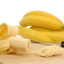 돈나와라 이미지