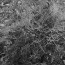 색달동-11 이미지