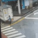 안성초후문 이미지