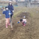 벼리농장 이미지