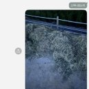 지에스25중동덕유마을점 | [두바이 집착기] 전.격.비.교