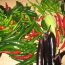 오늘의반찬 이미지