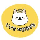 은혜유치원 | 평내동 소형견 신난댕 유치원 비용 및 가격, 첫등원 솔직 후기