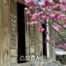 고색창연 티스토리