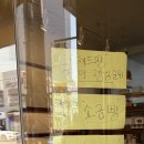브레드 팡