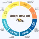 쌍별귀뚜라미협동조합 네이버블로그