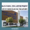 North London Collegiate School Jeju(초등학교) | NLCS 두바이, 진짜 소문만큼 빡셀까? 입학 전 꼭 알아야 할 실전 팁학비·성적·통학까지