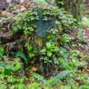 잿골체육공원 이미지