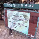 제881차(2024.11.7.목) 정기산행 안내 및 예약/부산광역시 사하구 승학산-구덕산 등 억새평원과 단풍 탐방 코스 이미지